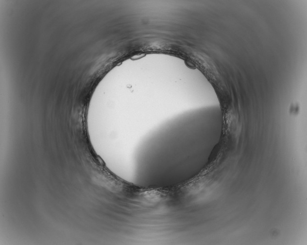 X0000089930423200707201844