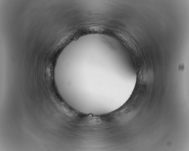 X0000089930424200707201844