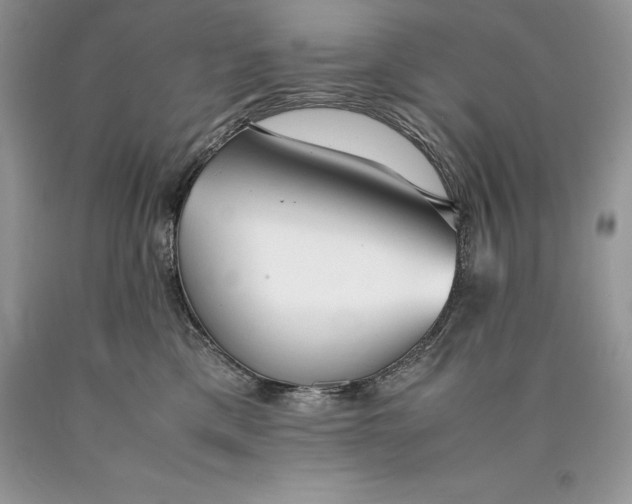 X0000089930425200707201844