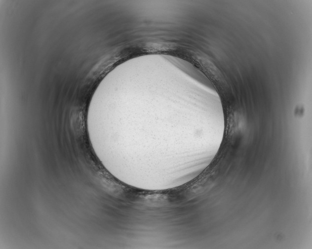 X0000089930426200707201844