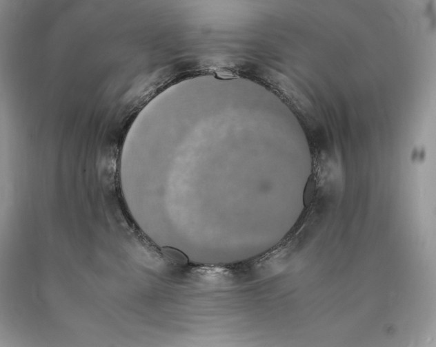 X0000089930427200707201844