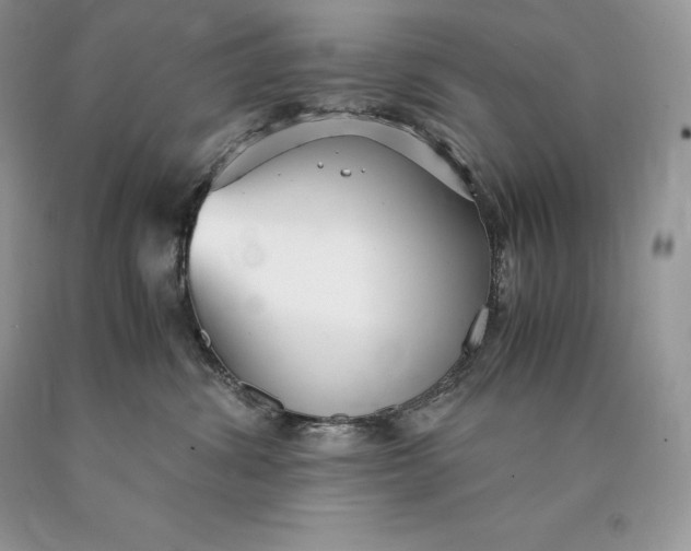 X0000089930428200707201844