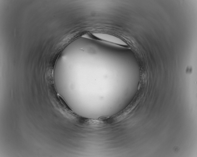 X0000089930429200707201844