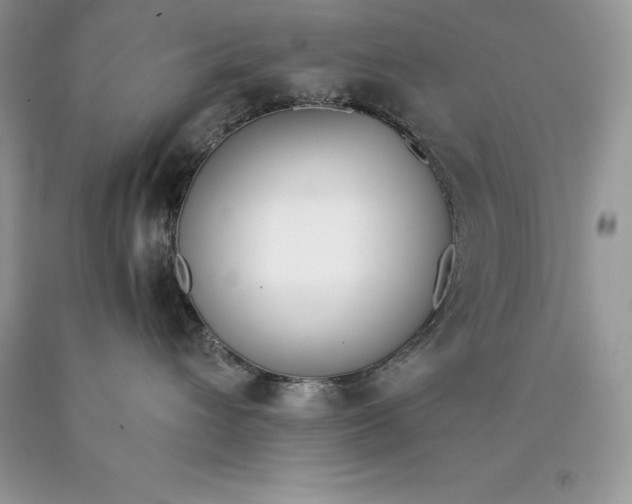 X0000089930432200707201844