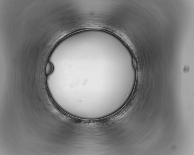 X0000089930433200707201844