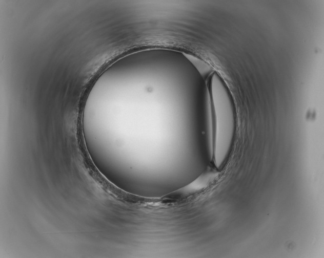 X0000089930434200707201844