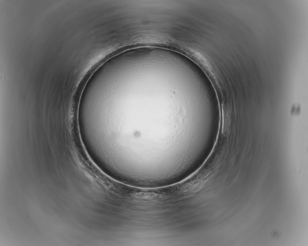 X0000089930435200707201844