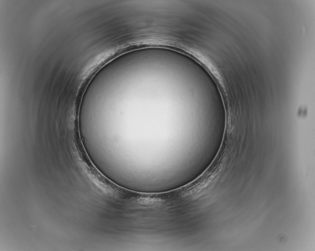 X0000089930437200707201844