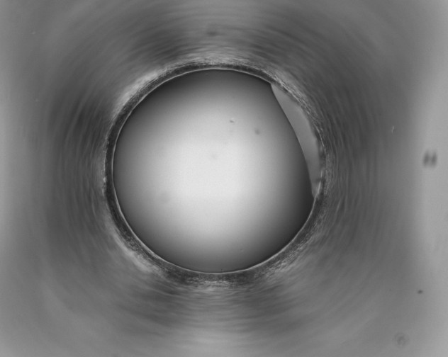 X0000089930438200707201844