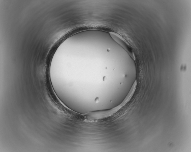 X0000089930440200707201844