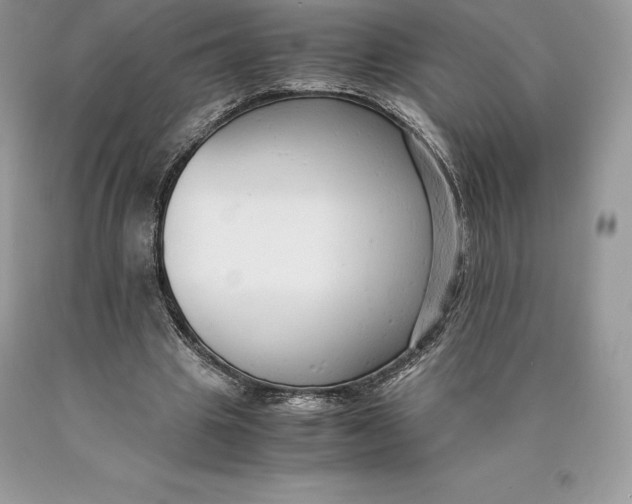 X0000089930441200707201844