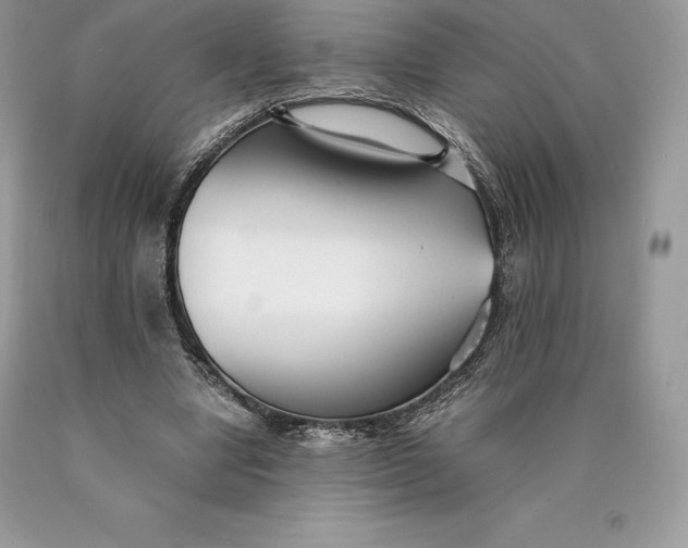 X0000089930442200707201844