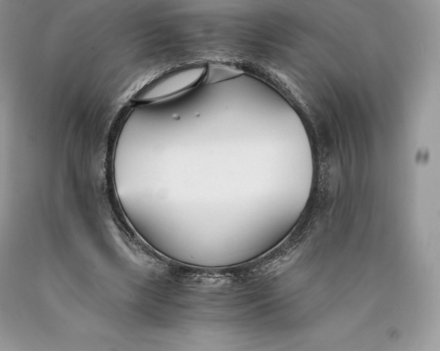 X0000089930443200707201844