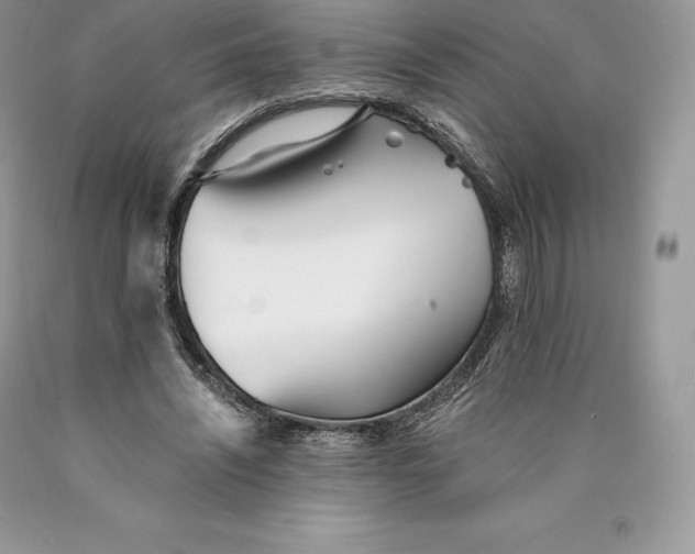 X0000089930444200707201844