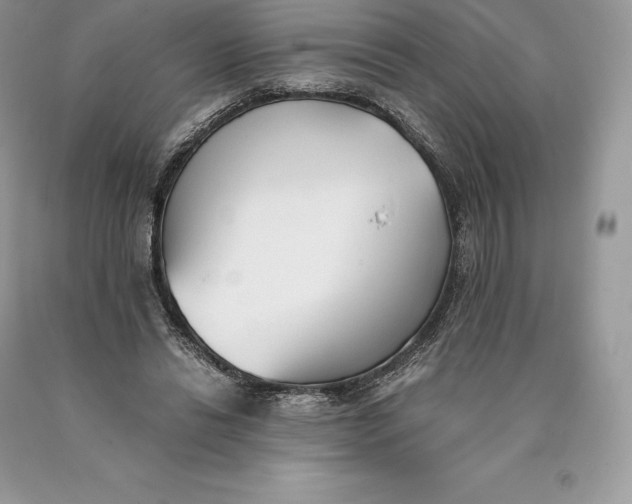 X0000089930446200707201844