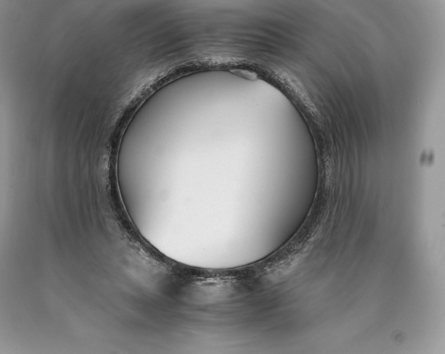 X0000089930447200707201844