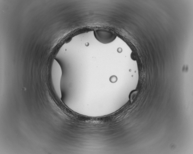 X0000089930448200707201844