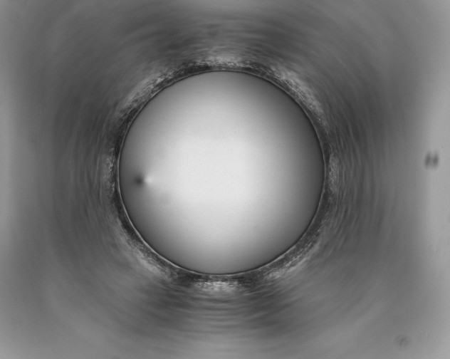 X0000089930449200707201844