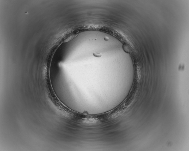 X0000089930451200707201844