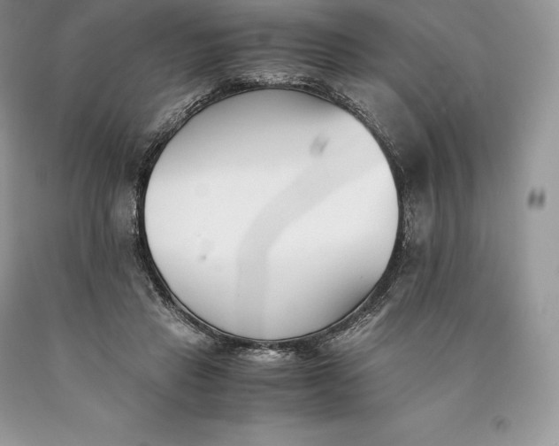 X0000089930453200707201844