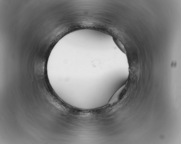 X0000089930454200707201844