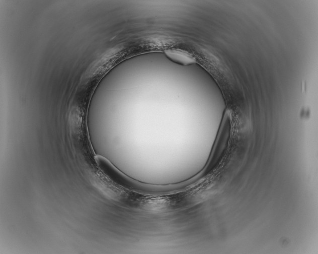 X0000089930456200707201844