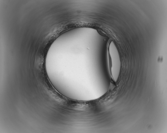 X0000089930458200707201844