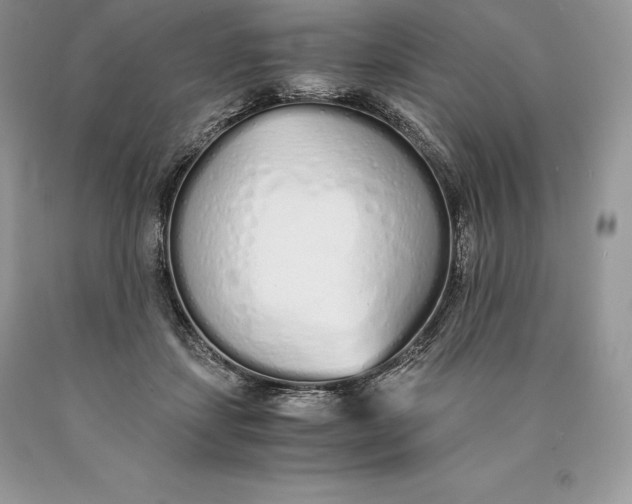 X0000089930459200707201844