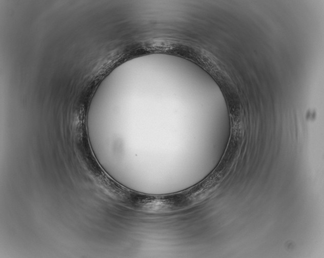 X0000089930460200707201844