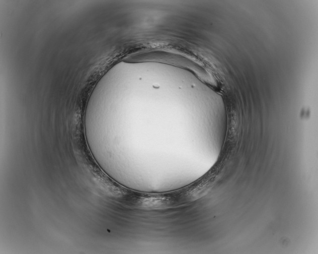 X0000089930461200707201844