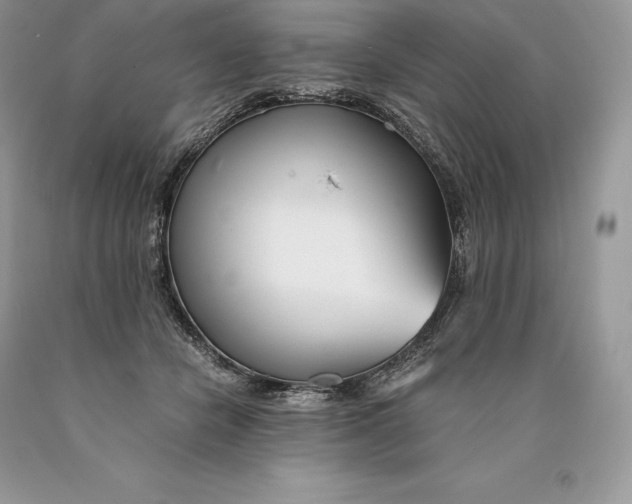 X0000089930462200707201844