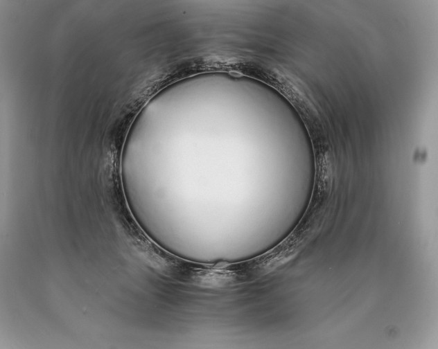 X0000089930463200707201844