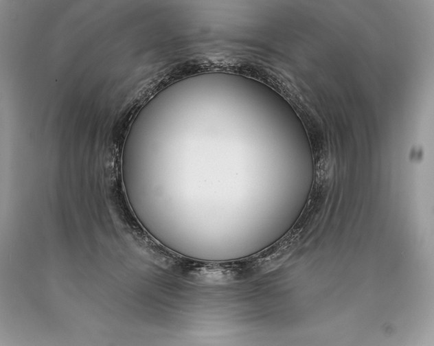 X0000089930464200707201844