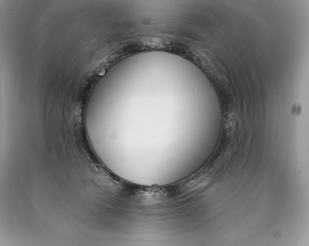 X0000089930466200707201844