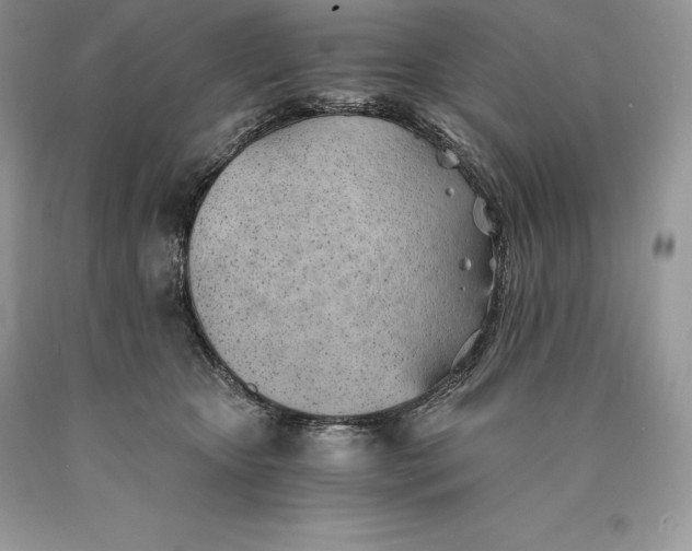 X0000089930467200707201844