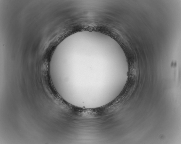 X0000089930468200707201844