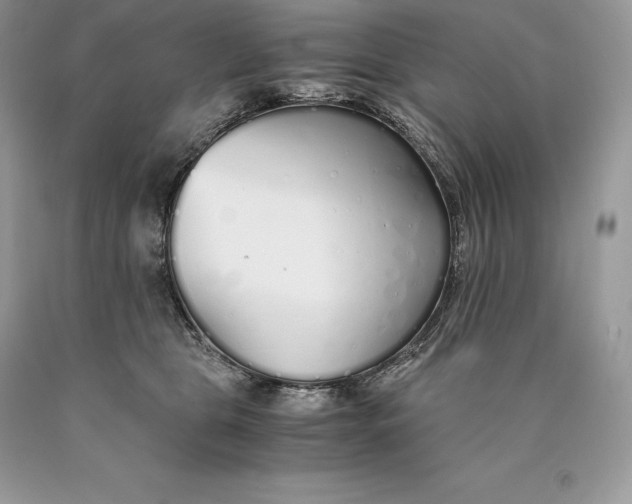 X0000089930469200707201844