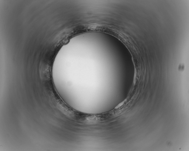 X0000089930470200707201844