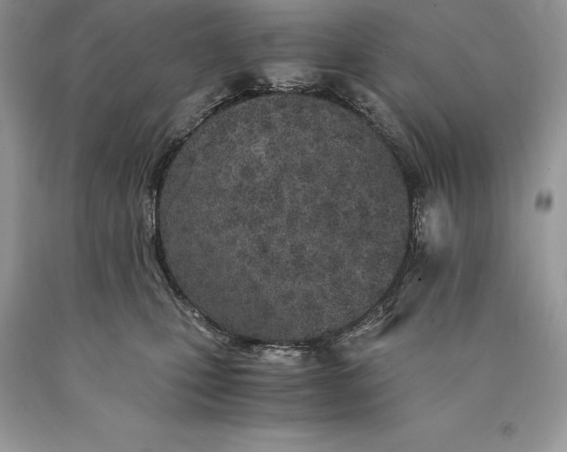 X0000089930471200707201844