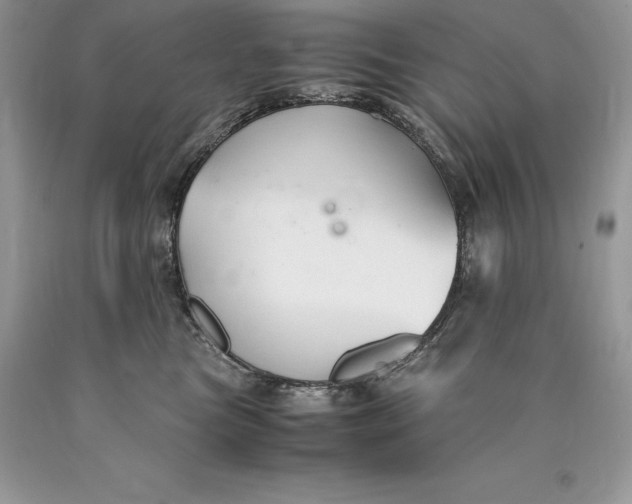 X0000089930473200707201844