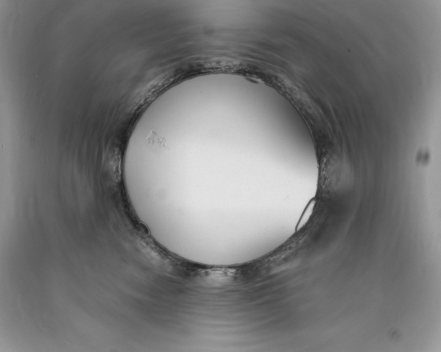 X0000089930474200707201844