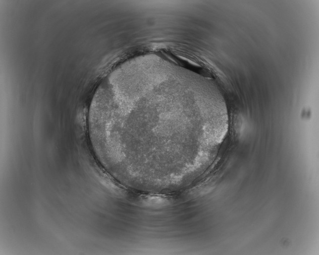 X0000089930475200707201844