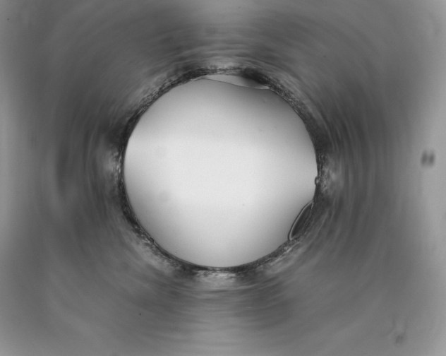 X0000089930476200707201844