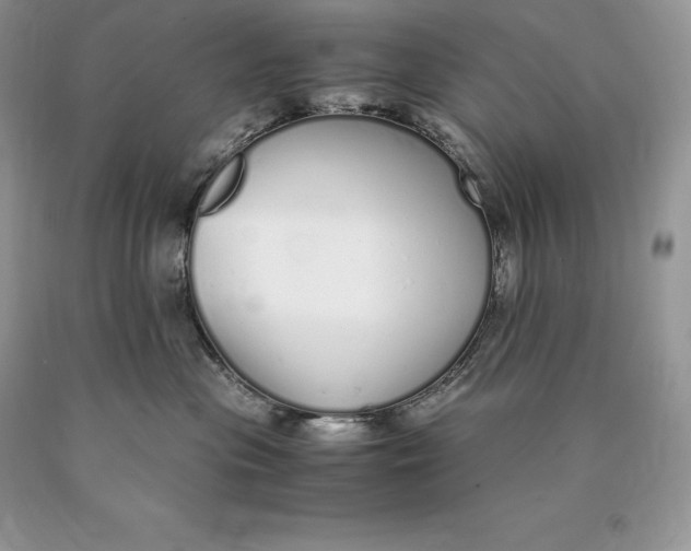 X0000089930477200707201844