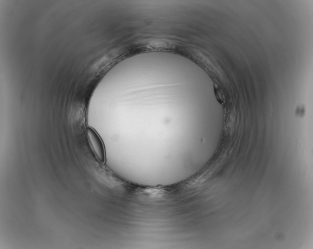 X0000089930478200707201844