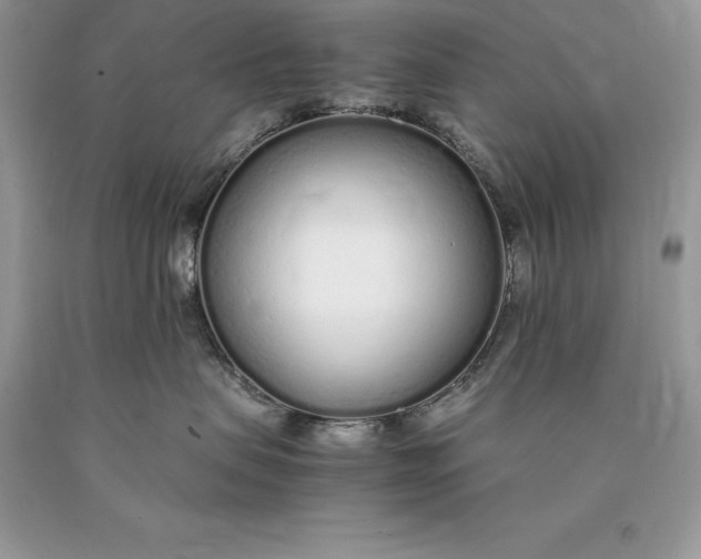 X0000089930479200707201844