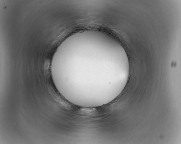 X0000089930480200707201844