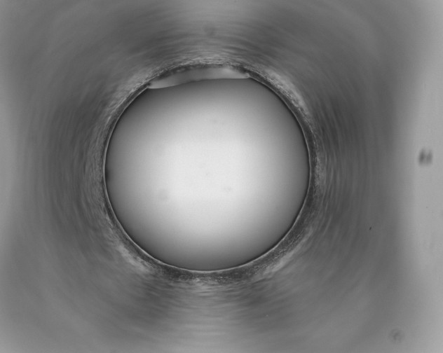 X0000089930481200707201844