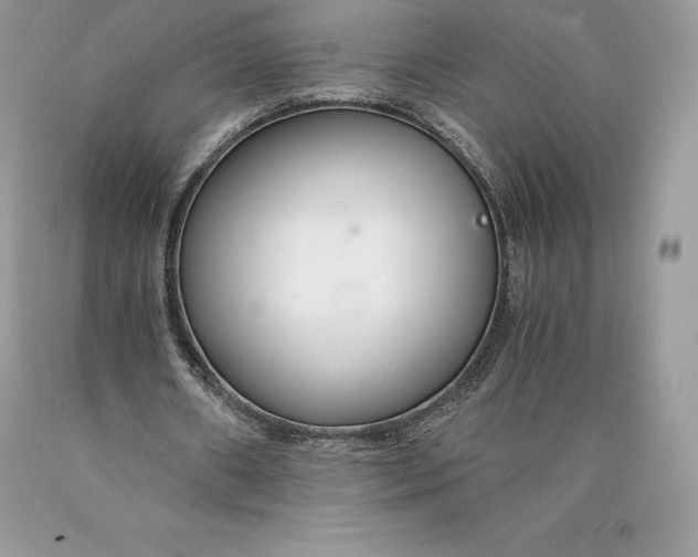 X0000089930482200707201844