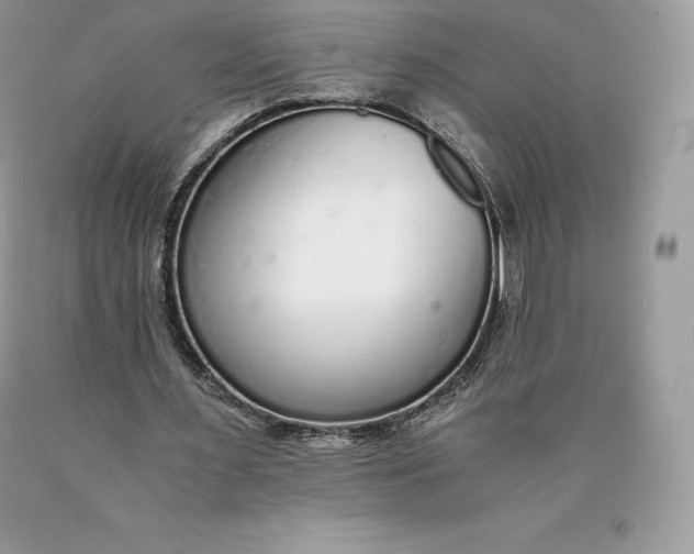 X0000089930483200707201844